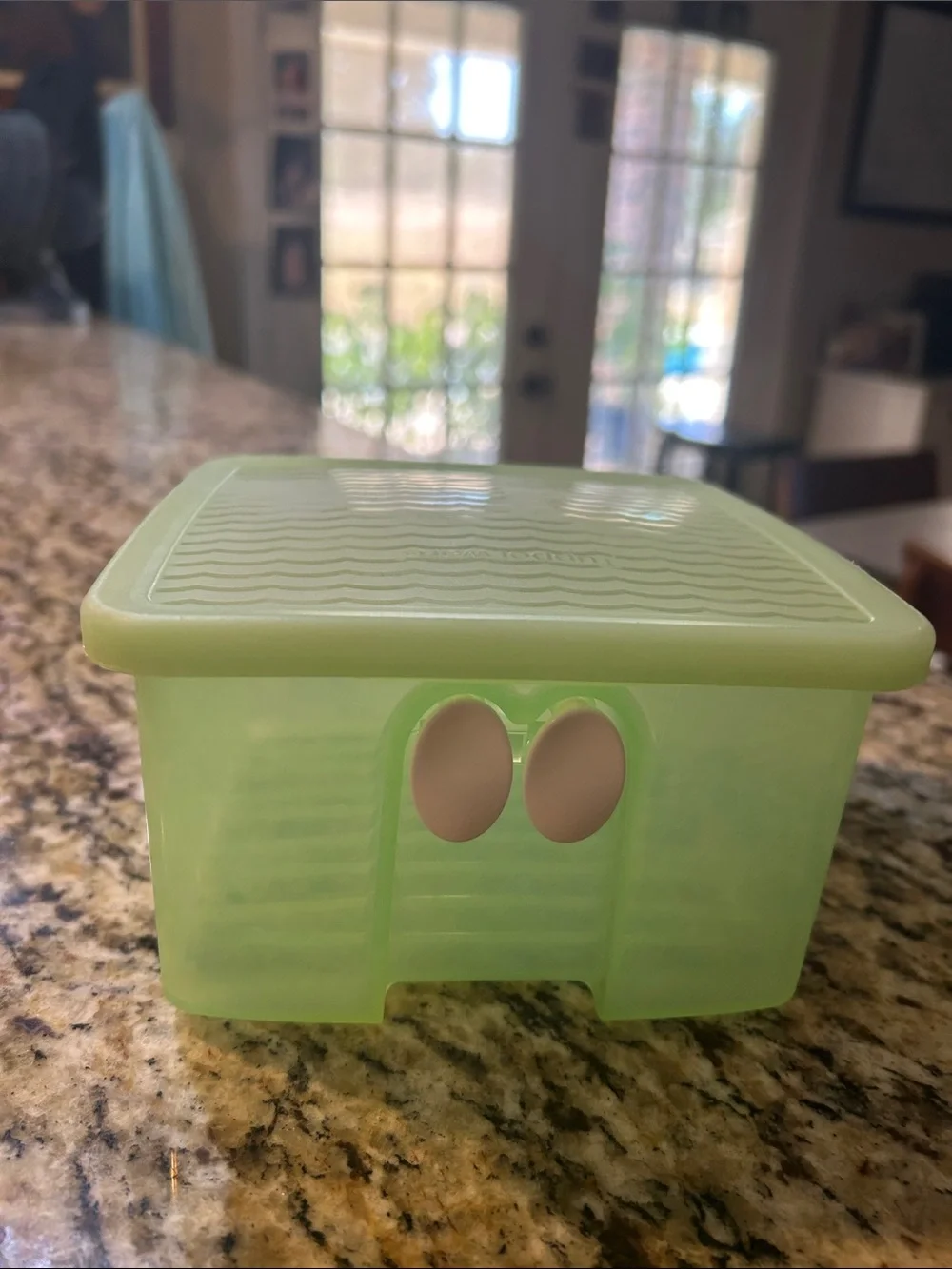 Green Vegetables Food Storage Container with Lid